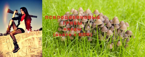 mdma Абаза