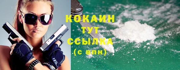 стаф Осташков